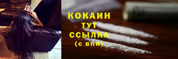 трава Абаза