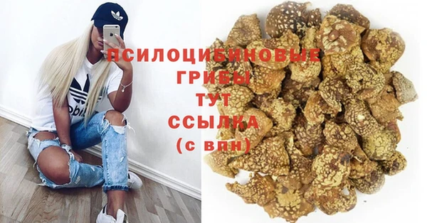 трава Абаза