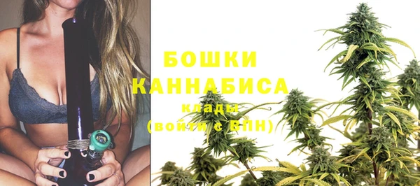 трава Абаза