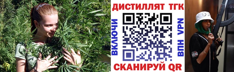 ТГК концентрат Пудож