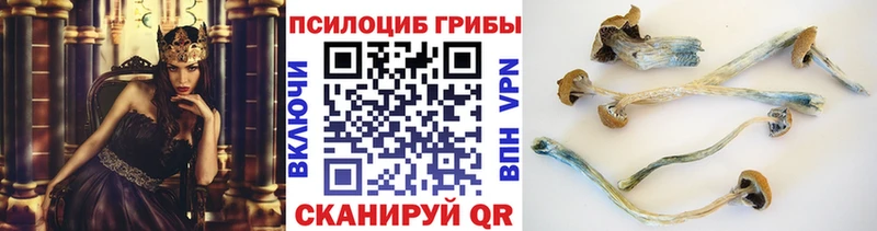 что такое наркотик  Пудож  Псилоцибиновые грибы Psilocybine cubensis 